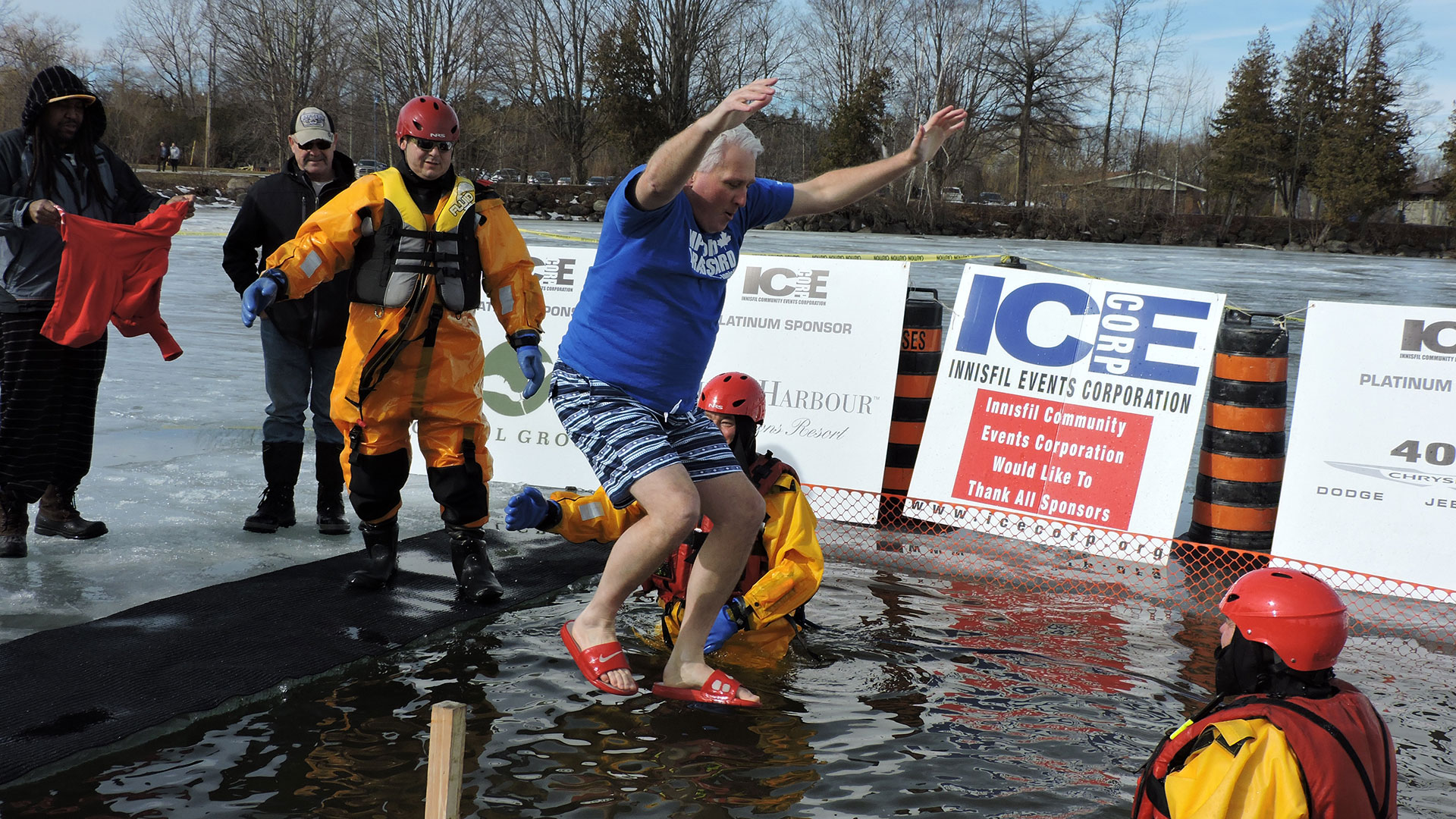Polar Bear Dip